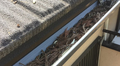 雨樋点検の様子