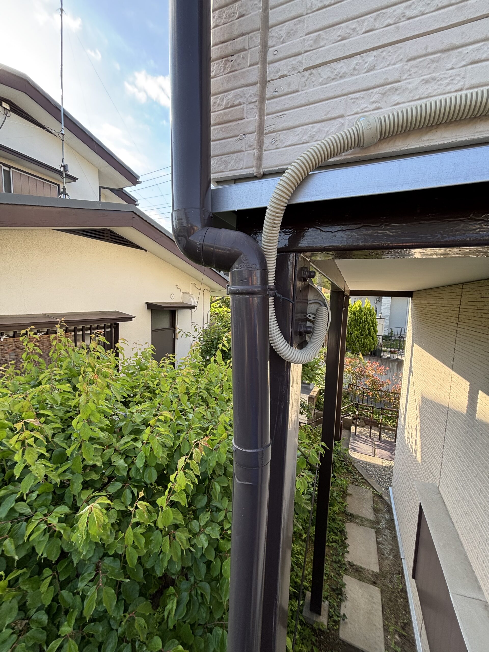 現場調査
