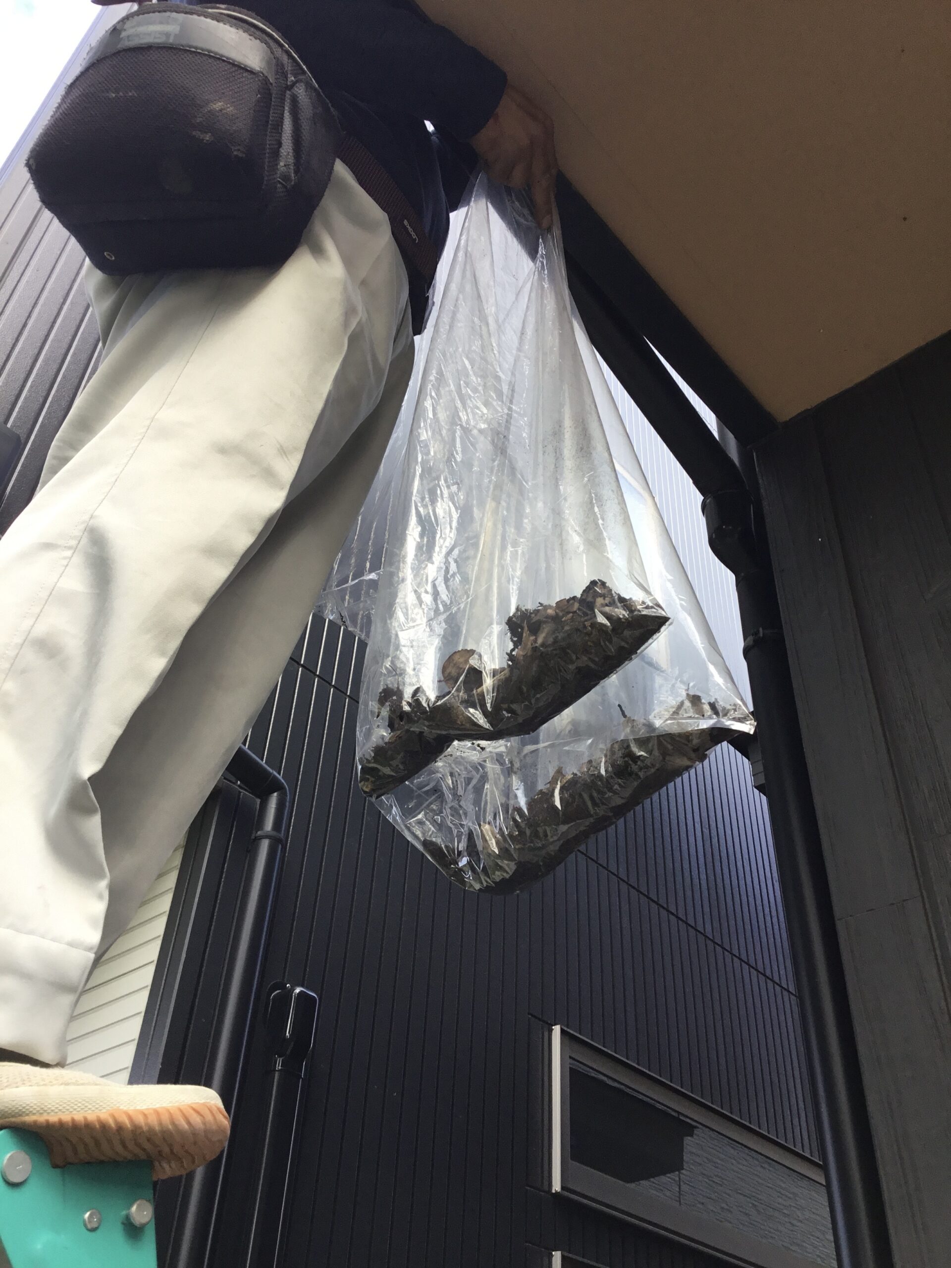 施工工程