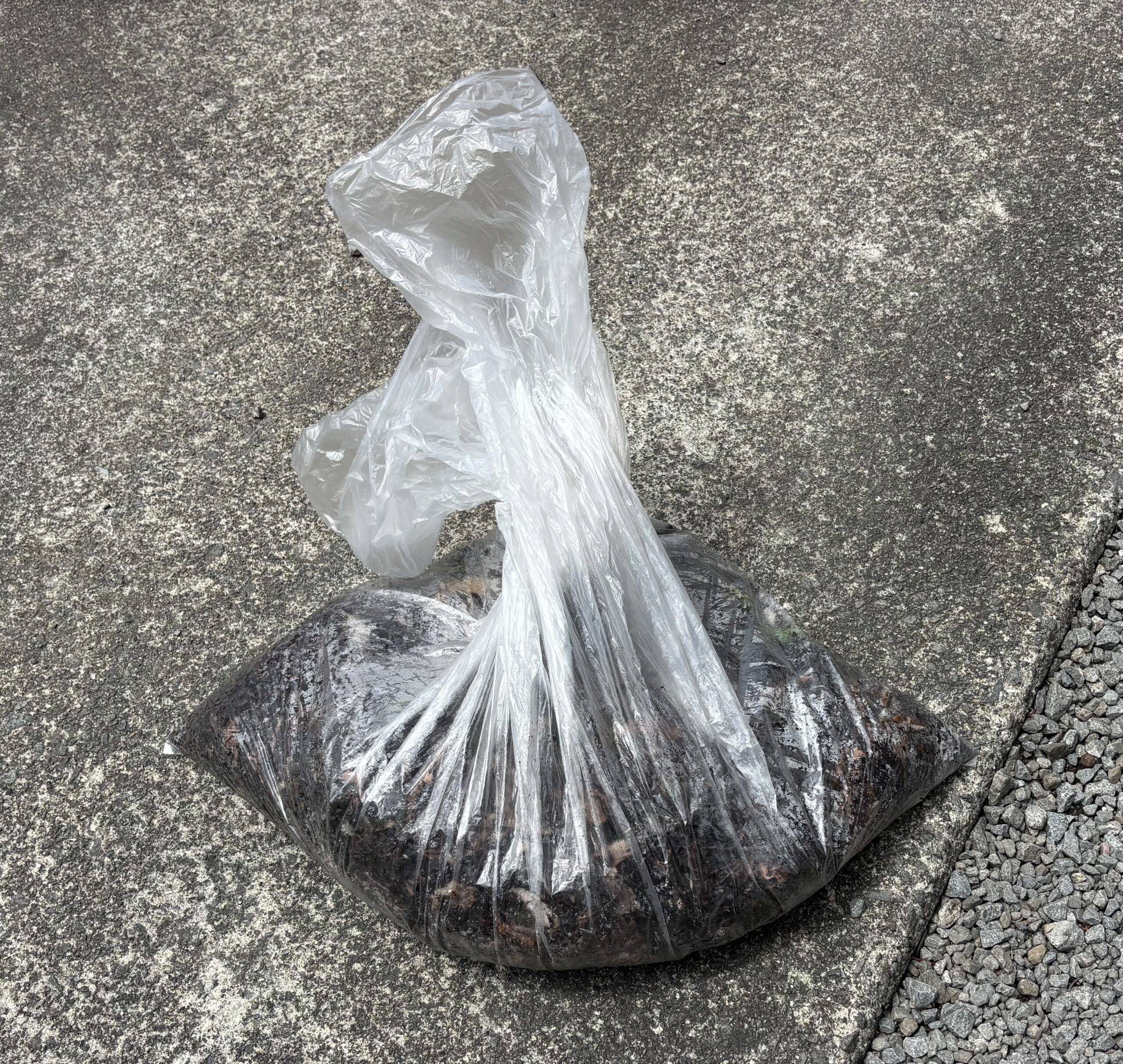 施工完了