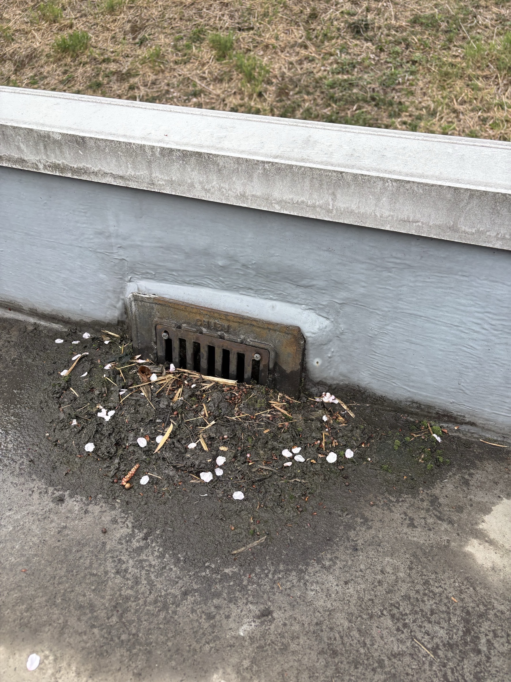 雨樋・屋上の詰まりに注意｜日野市で確認したい原因と対処法