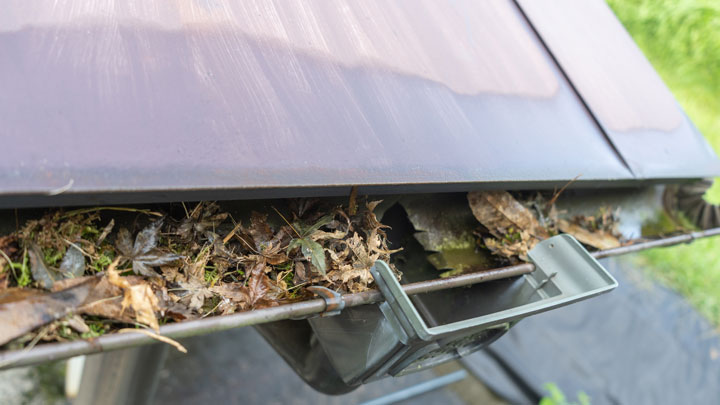 落ち葉の詰まった雨樋